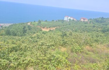 KABA MAHALLESİNDE 431 M2 SATILIK ARSA