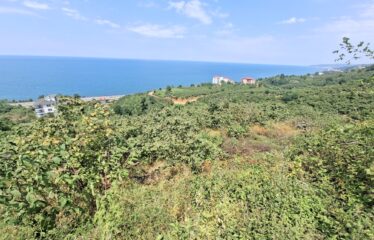 KABA MAHALLESİNDE 431 M2 SATILIK ARSA