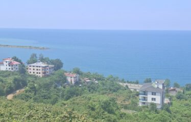 KABA MAHALLESİNDE 431 M2 SATILIK ARSA