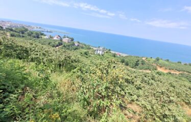 KABA MAHALLESİNDE 431 M2 SATILIK ARSA