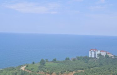 KABA MAHALLESİNDE 431 M2 SATILIK ARSA