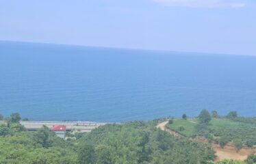 KABA MAHALLESİNDE 431 M2 SATILIK ARSA