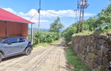 TERZAALİ KÖYÜNDE İÇERSİNDE EVİ BULUNAN SATILIK ARAZİ