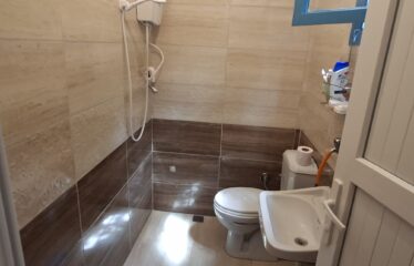 TERZAALİ KÖYÜNDE İÇERSİNDE EVİ BULUNAN SATILIK ARAZİ