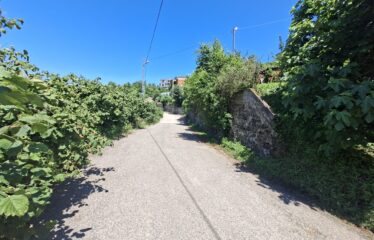 TİREBOLU ÖZLÜ KÖYÜNDE 515M2 SATILIK ARAZİ