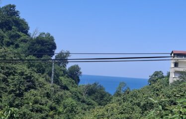 TİREBOLU ÖZLÜ KÖYÜNDE 515M2 SATILIK ARAZİ