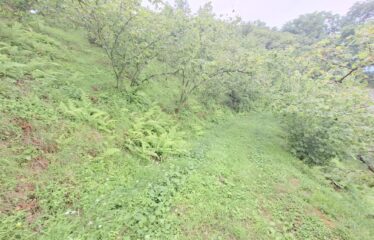 BOZCAALİ MAHALLESİNDE HARİKA DENİZ MANZARASINA SAHİP 1452M2 SATILIK ARAZİ