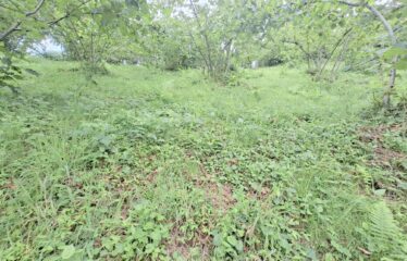 BOZCAALİ MAHALLESİNDE HARİKA DENİZ MANZARASINA SAHİP 1452M2 SATILIK ARAZİ