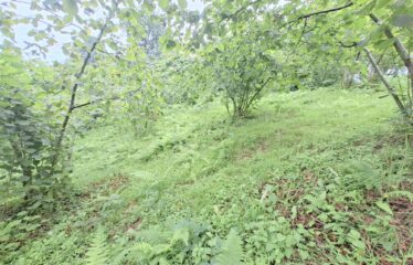 BOZCAALİ MAHALLESİNDE HARİKA DENİZ MANZARASINA SAHİP 1452M2 SATILIK ARAZİ
