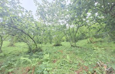 BOZCAALİ MAHALLESİNDE HARİKA DENİZ MANZARASINA SAHİP 1452M2 SATILIK ARAZİ