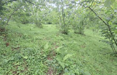 BOZCAALİ MAHALLESİNDE HARİKA DENİZ MANZARASINA SAHİP 1452M2 SATILIK ARAZİ