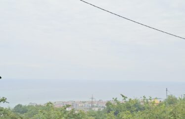 BOZCAALİ MAHALLESİNDE 2755M2 SATILIK ARAZİ