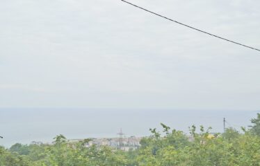 BOZCAALİ MAHALLESİNDE 2755M2 SATILIK ARAZİ